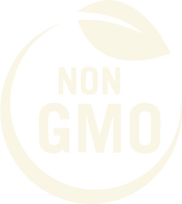 Certification icon