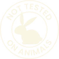 Certification icon